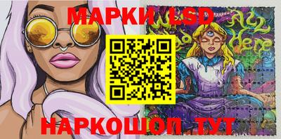 спиды Новозыбков